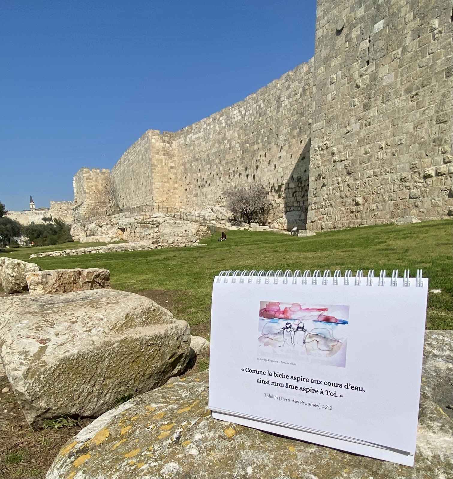 Une biche dans une forêt