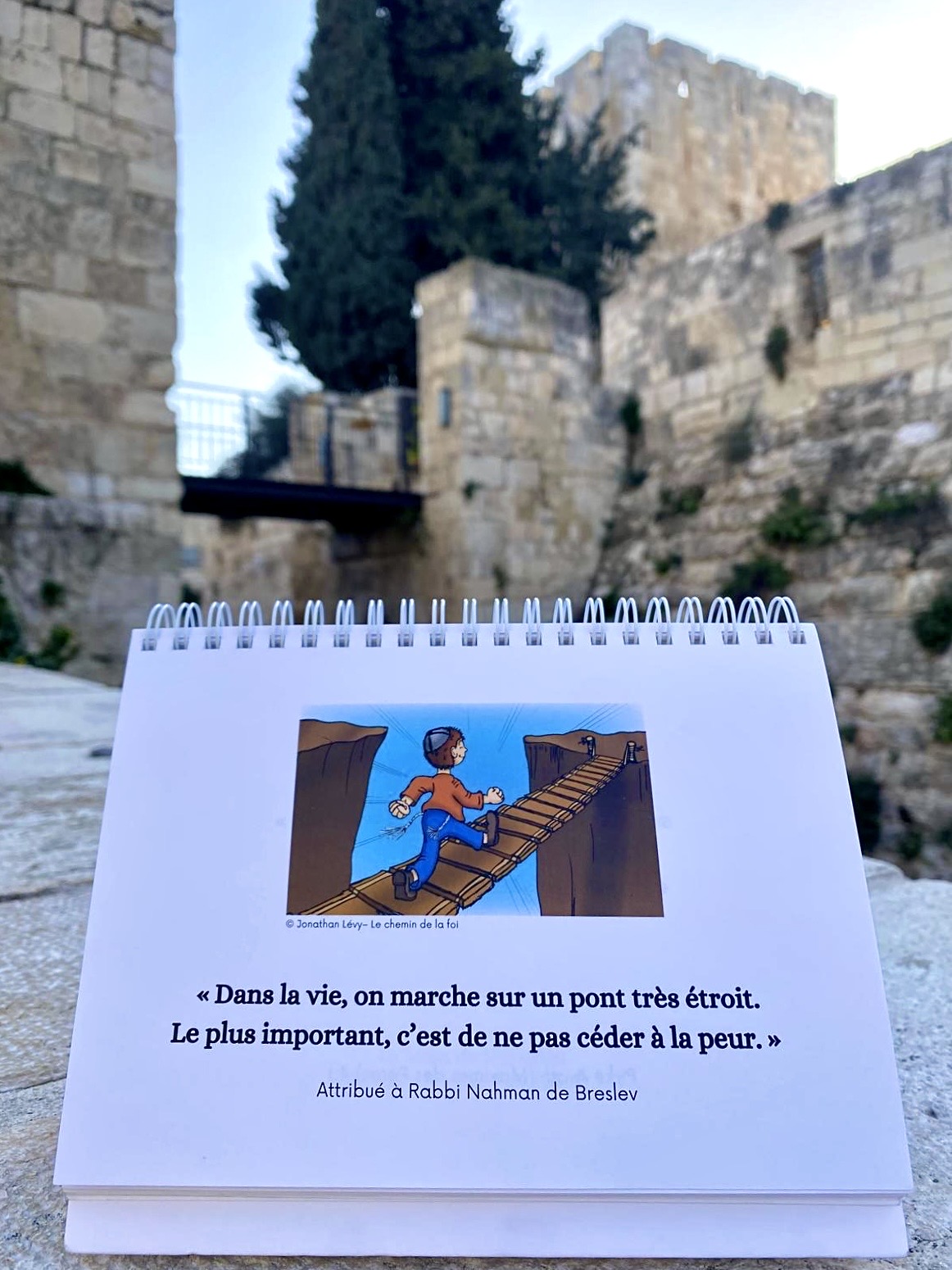 Un pont en bois dans la nature